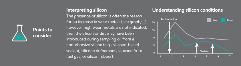 interpreting silicon
